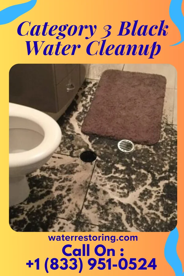 Category 3 Black Water Cleanup in Manassa, CO