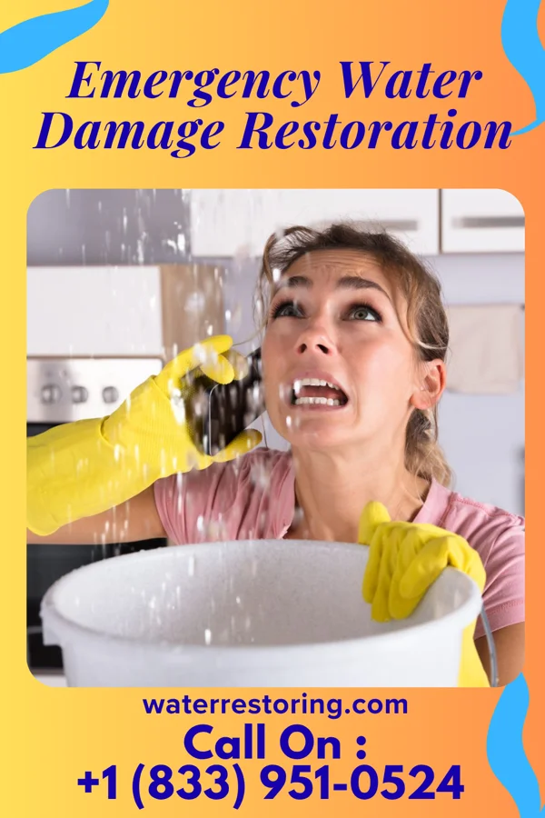 Emergency Water Damage Restoration in Manassa, CO